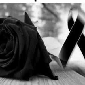 Meet your Posher, Vicky